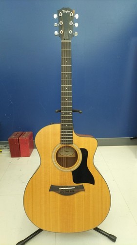 Guitare acoustique électrique