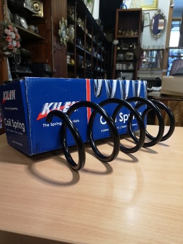 Front coil spring - spring, for