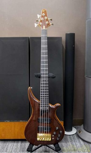 Guitare basse électrique tune - basse,