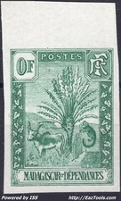 MADAGASCAR ZEBU ESSAI