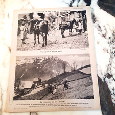 Photo Travaux de culture en montagne. Transports dos mulet, remontée de la douve