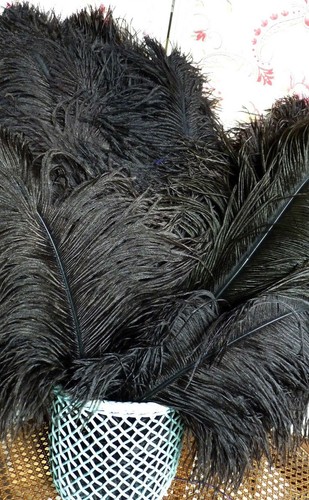 Lot anciennes grandes plumes - lot, 5