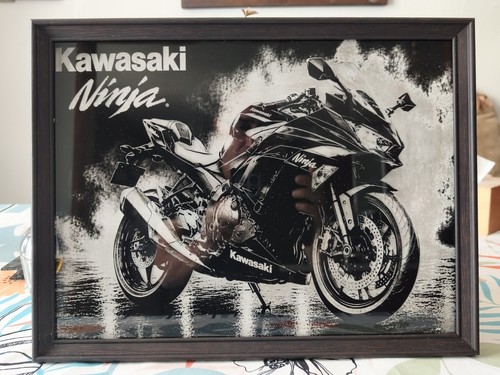 Cadre moto kawasaki ninja - kawasaki,