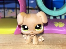 Littlest Petshop Chiot Boxer #1353 LPS