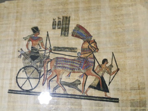 Egyptian papyrus painted gold - painted,