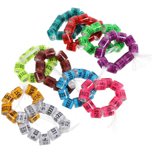 100 pcs bague pigeon - pcs,