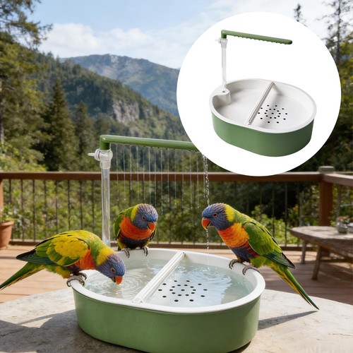 Baignoire pour perroquet gris