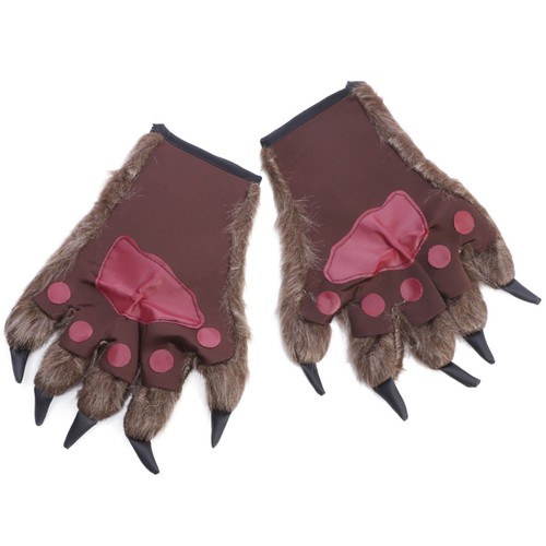 Paire griffe d ours - paire, d'ours