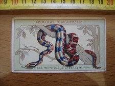 Ancienne Chromo Chocolat Aiguebelle Les REPTILES Le Boa Constrictor