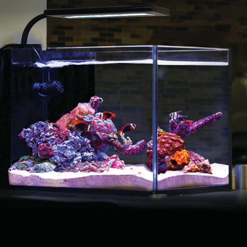 Orbit marine nano led - marine, watt