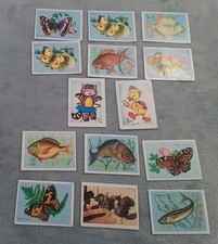 Lot 14 Image Bon Point Ecole