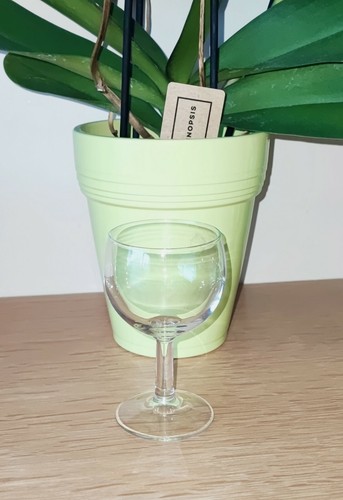 Verre épais pied - pied, 🍷