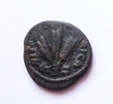 ALEXANDRE SEVERE diassaria