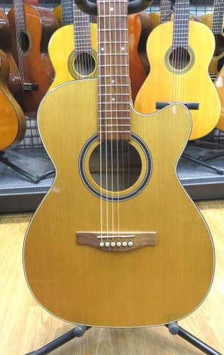 Guitare acoustique électrique