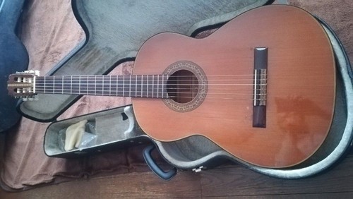 Kasuga gf200 flamenco - kasuga,