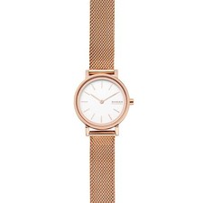 Montre Femme SKAGEN HALD