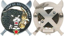 3° R.E.I, LEGION COMMANDO
