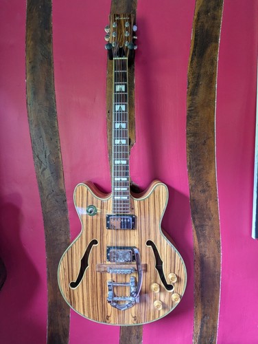 Guitare électrique jazz - jazz, de