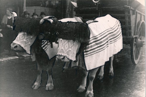 Pays basque 1938 3 photos - 1938,