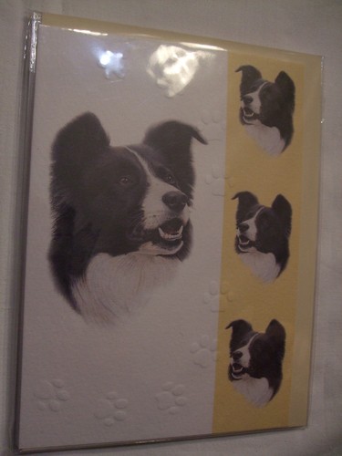 Carte enveloppe chien - +,