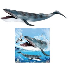 Bain D'éducation de Modèle de Créature de Mer de Figure de Baleine Bleue En