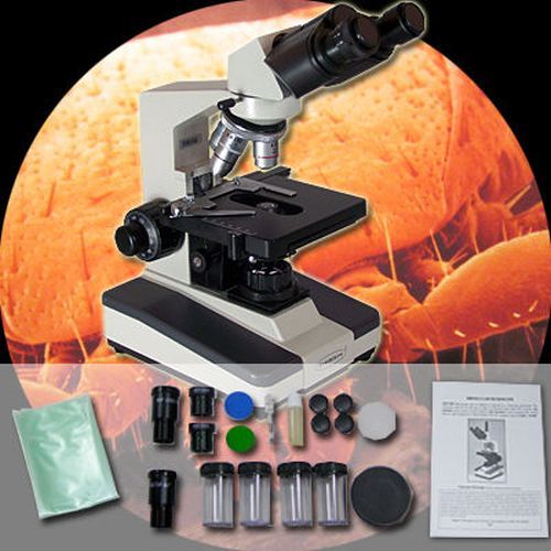 Microscope binoculaire - microscope,
