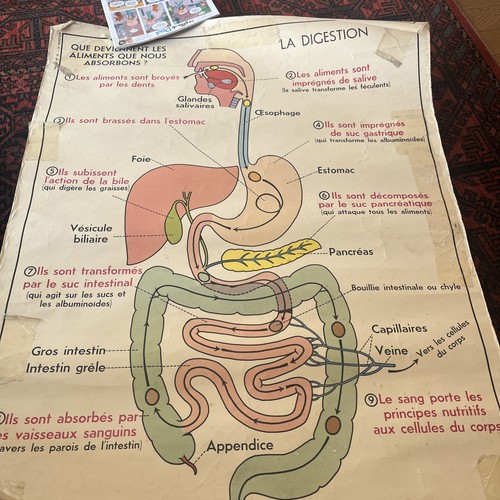 Affiche scolaire mdi - mdi, 9