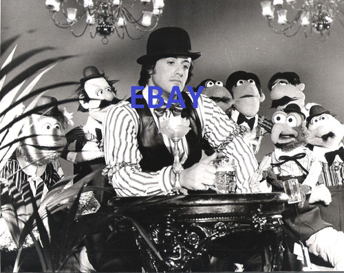 Sylvester stallone muppet - stallone,