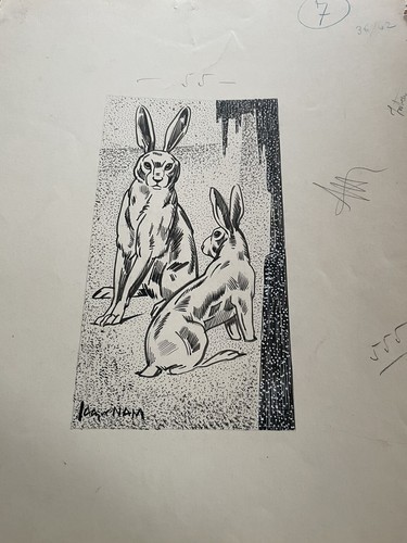 Dessin jacques nam - jacques,