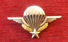 BREVET PARA ...Delsart