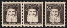 n°601, variété "barbe