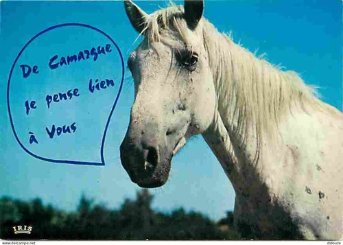 Carte postale animaux - postale,