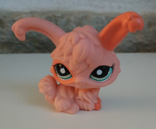 Petshop lapin angora - lapin,