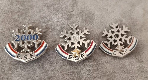 Broches insigne ski esf - insigne,