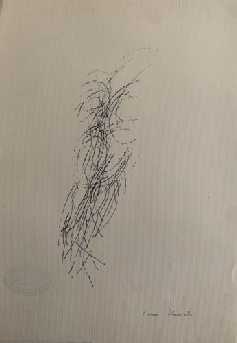 Laure placide - laure,