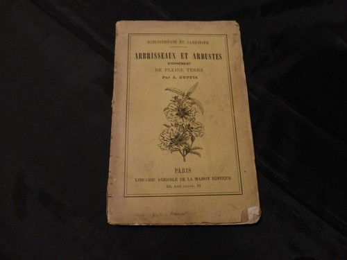 Arbrisseaux arbustes - arbrisseaux,
