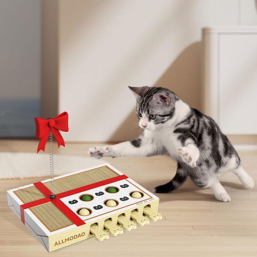 Jeu enrichissement pour - jeu,