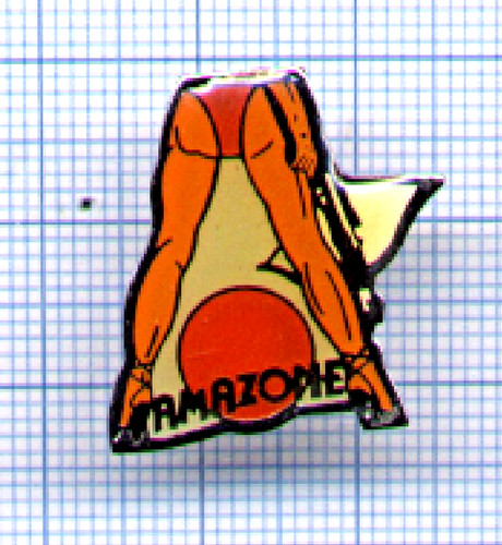 Pin stadium amazone avec - pin's,
