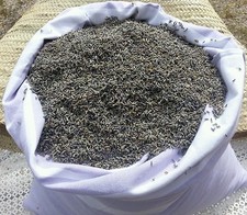 1 KG FLEUR DE LAVANDIN 2024 (LAVANDE HYBRIDE) VRAC