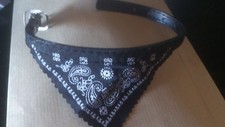 bandana collier pour chien ou