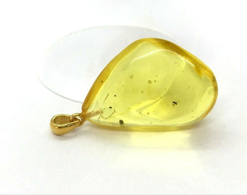 Pendentif ambre avec - ambre, insectes