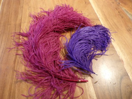 Lot plumes autruche - 🪶lot,