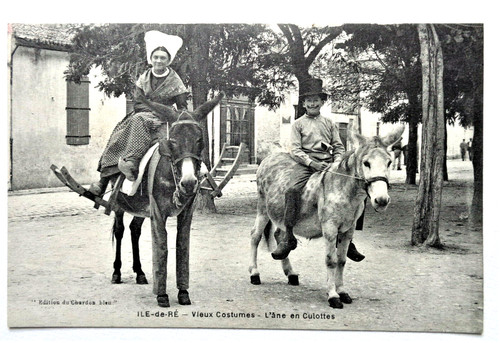 Carte postale ile ré - ile,