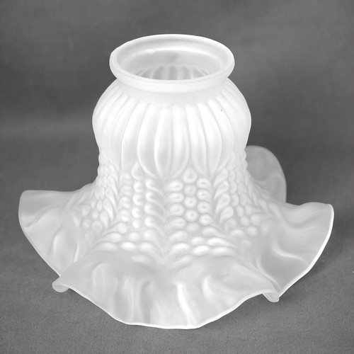 Tulipe verre lustre lampe - tulipe,