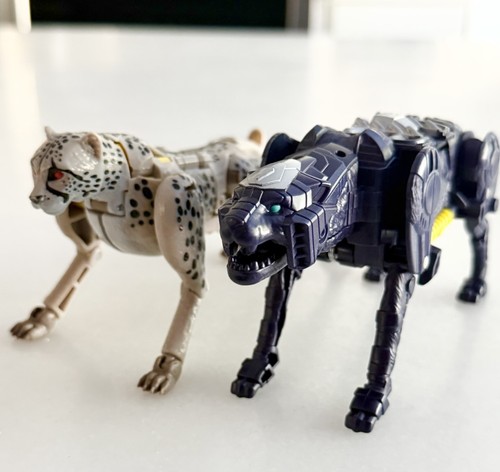 Transformers rise the beast - rise,