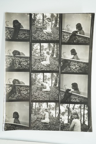Photo argentique 1960 planche - 1960',