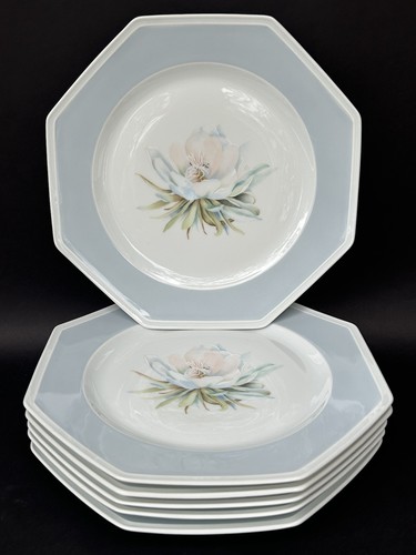 Superbes grandes assiettes - superbes,