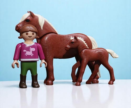 Playmobil poney poulain