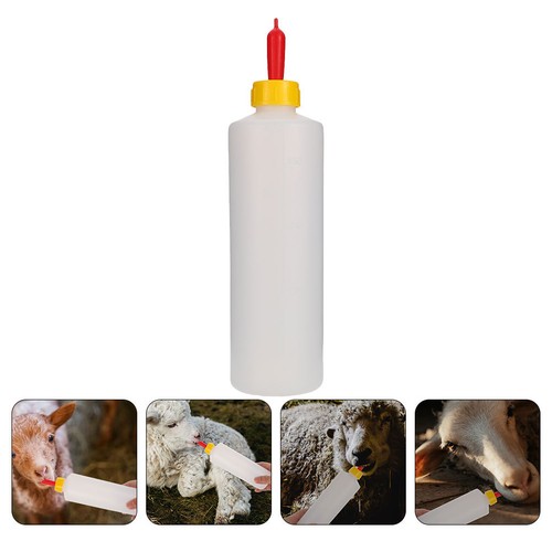 Biberon pour chèvre - pour, lampe