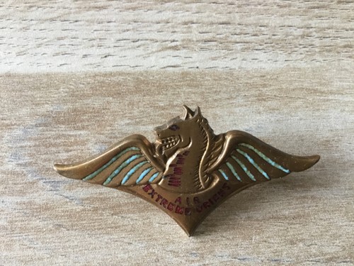 Insigne aviation air extreme - insigne, aviation.